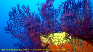 Cavalaire-sur-Mer mardi 30 octobre 2018 15:24:55 