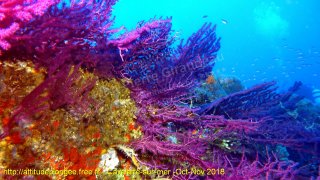 Cavalaire-sur-Mer mardi 30 octobre 2018 15:27:37 