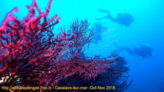 Cavalaire-sur-Mer mardi 30 octobre 2018 15:28:12 