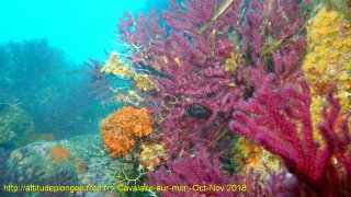 Cavalaire-sur-Mer jeudi 1 novembre 2018 12:17:24 