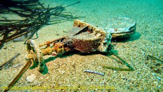 Cavalaire-sur-Mer dimanche 4 novembre 2018 10:50:24 