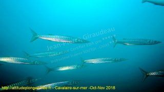 Cavalaire-sur-Mer dimanche 4 novembre 2018 11:08:25 