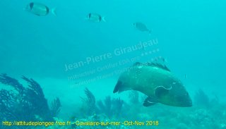 Cavalaire-sur-Mer dimanche 28 octobre 2018 10:38:02 