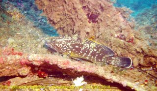 Cavalaire-sur-Mer dimanche 4 novembre 2018 10:51:23 