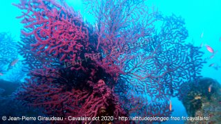 Cavalaire-sur-Mer mercredi 28 octobre 2020 14:05:02 