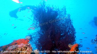 Cavalaire-sur-Mer mercredi 28 octobre 2020 14:08:02 