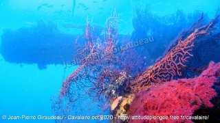 Cavalaire-sur-Mer mercredi 28 octobre 2020 14:09:32 