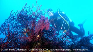 Cavalaire-sur-Mer mercredi 28 octobre 2020 14:13:50 