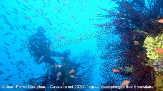 Cavalaire-sur-Mer mercredi 28 octobre 2020 14:14:14 