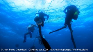 web-dsc03059