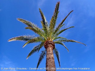 Cavalaire-sur-Mer dimanche 25 octobre 2020 12:38:27 