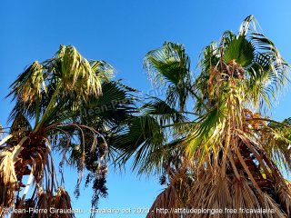 Cavalaire-sur-Mer mardi 27 octobre 2020 16:38:35 