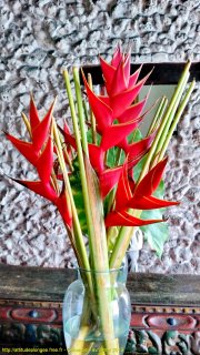 Colombie mercredi 1 mai 2019 02:02:10 