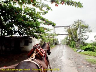 Colombie mardi 23 avril 2019 11:14:40 