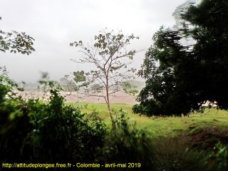 Colombie mardi 23 avril 2019 11:23:04 