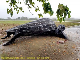 Colombie mardi 23 avril 2019 11:28:02 