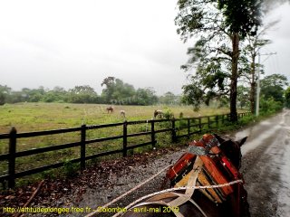 Colombie mardi 23 avril 2019 11:46:34 