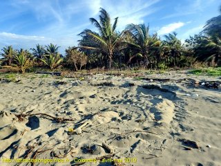 Colombie mercredi 24 avril 2019 15:58:04 