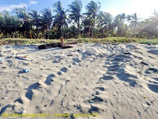 Colombie mercredi 24 avril 2019 16:02:38 