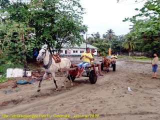 Colombie mardi 23 avril 2019 14:22:01 