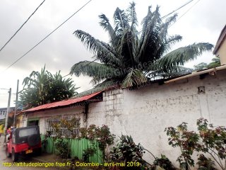 Colombie mardi 23 avril 2019 16:35:14 