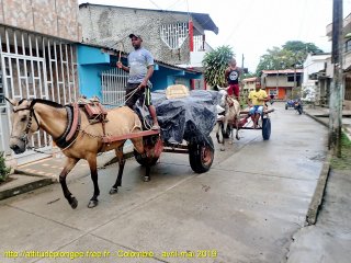 Colombie mardi 23 avril 2019 16:32:35 