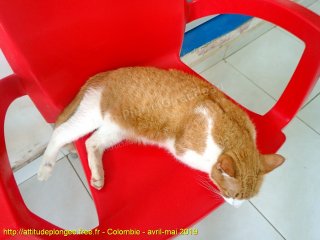 Colombie jeudi 2 mai 2019 07:45:39 