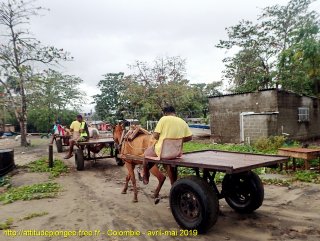 Colombie mardi 23 avril 2019 14:22:04 