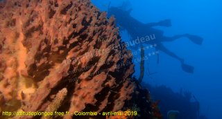 Colombie mardi 30 avril 2019 10:06:54 