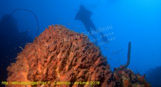 Colombie mardi 30 avril 2019 10:06:49 