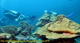 Colombie lundi 29 avril 2019 11:58:24 