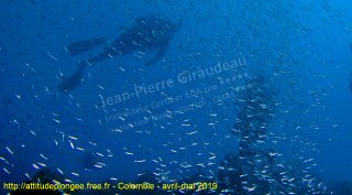 Colombie mardi 30 avril 2019 10:03:51 
