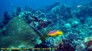 Colombie dimanche 28 avril 2019 12:36:58 