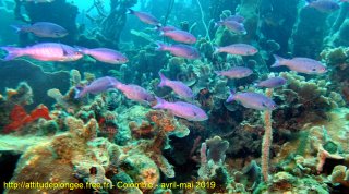 Colombie dimanche 28 avril 2019 12:37:58 
