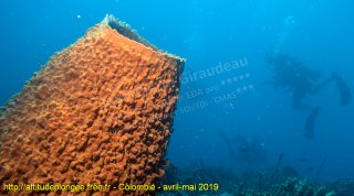Colombie dimanche 28 avril 2019 12:40:54 