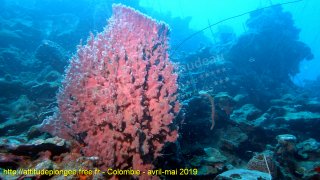 Colombie dimanche 28 avril 2019 10:40:23 