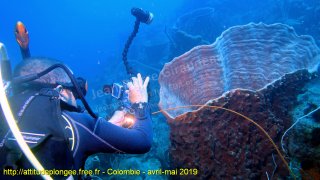 Colombie dimanche 28 avril 2019 12:12:00 