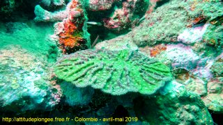 Colombie dimanche 28 avril 2019 12:13:45 