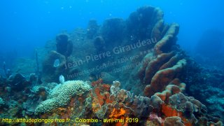 Colombie lundi 29 avril 2019 10:34:02 