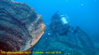 Colombie lundi 29 avril 2019 10:37:18 