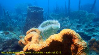 Colombie lundi 29 avril 2019 10:44:32 