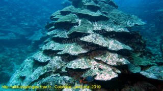 Colombie lundi 29 avril 2019 11:56:34 