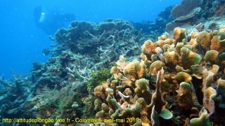 Colombie lundi 29 avril 2019 12:02:00 
