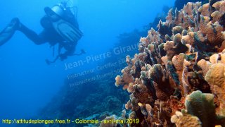 Colombie lundi 29 avril 2019 12:06:21 