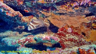 Colombie lundi 29 avril 2019 12:08:48 