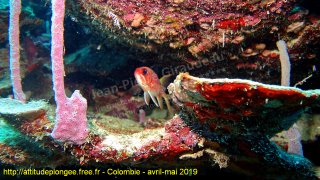 Colombie lundi 29 avril 2019 12:10:30 