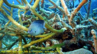 Colombie lundi 29 avril 2019 12:16:46 