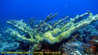 Colombie lundi 29 avril 2019 12:33:49 