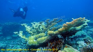 Colombie lundi 29 avril 2019 12:34:11 