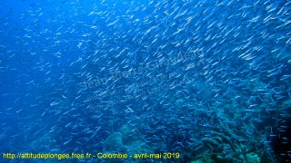 Colombie mardi 30 avril 2019 10:03:36 